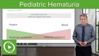 Pediatric Hematuria Blood in Urine – Pediatrics  Lecturio [upl. by Kcirdek]