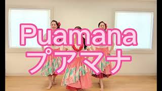 プアマナ フラ hula puamana フラダンス [upl. by Yelrak]