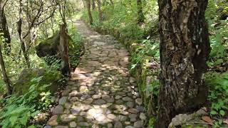 Un Caminito de Piedra Por las Cazcadas de La Sierra mixteca de Oaxaca [upl. by Alrzc771]