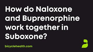 What is Suboxone How do Naloxone and Buprenorphine work together [upl. by Gusba]