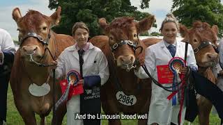 RHS TV  Saturday at the Royal Highland Show 2024 [upl. by Leschen250]