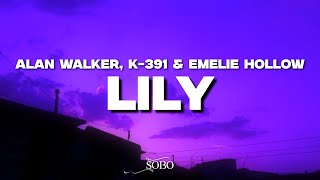 Alan Walker K391 amp Emelie Hollow  Lily Lyrics [upl. by Eudocia123]