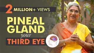 Take Care of your Pineal Gland by doing this  Dr Hansaji Yogendra [upl. by Anigriv]