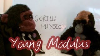 Young Modulus  A Level Physics Revision [upl. by Ahsaeit463]