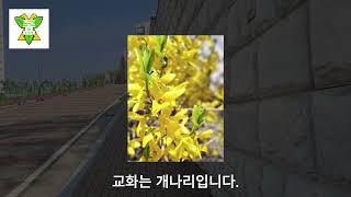 대중금속공업고등학교 2024 SNS 영상 공모전 K [upl. by Aibara]