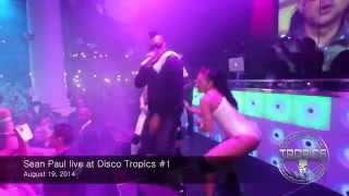 Sean Paul live at Tropics 2014 after movie 1 [upl. by Ellennad]