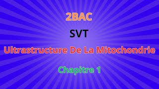 2BACSVT CH1 Libération de lénergie emmagasinée dans la mat Ultrastructure De La Mitochondrie [upl. by Rech]