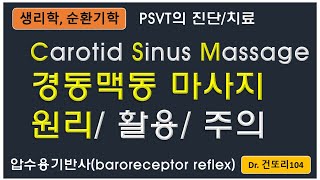 carotid sinus massage경동맥동 마사지 원리임상적 활용 및 주의사항 Baroreceptor reflex압수용기반사 [upl. by Shippee954]