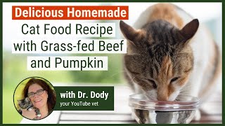 Homemade Cat Food Recipe in just 15 minutes [upl. by Maier]