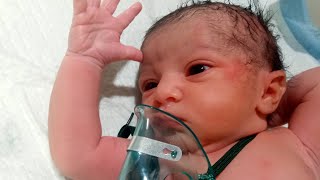 cute end neonate baby 🍼❤️😍🍼🍼🙂🍼❣️cutebaby newborn viral [upl. by Yawnoc393]