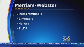 MerriamWebster Ads Hundreds Of New Words [upl. by Bertelli]