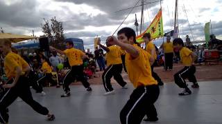 Jow Ga Kung Fu Demonstration [upl. by Atorod921]