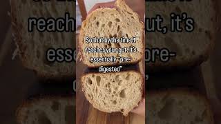 Gluten isn’t the Problem sourdoughbread [upl. by Goth211]