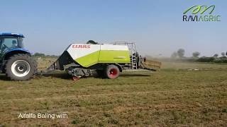 Alfalfa Baling with CLAAS QUADRANT 2200RC [upl. by Friedrick]