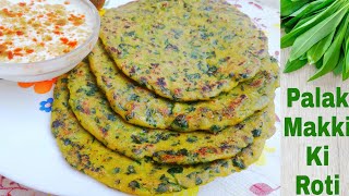 Makki ki roti with palak  Palak Makki ki roti  spicy corn meal indian flat bread recipe [upl. by Akinom]