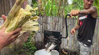 How to extract juice from sugar cane using traditional tools [upl. by Wesley]