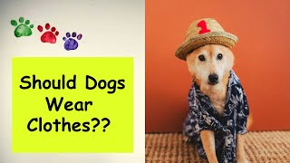 Dressing your dog in clothes Are people teasing you [upl. by Annadiana]