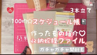 100均⭐︎スケジュール帳｜作ったもの紹介♡簡単収納蛇腹ファイル｜ガチャガチャ開封｜紙もの｜文房具｜手帳デコ [upl. by Hawger]