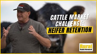 THIS is why the US Heifer Retention Remains Low  Insights from Feedlot Owner [upl. by Newby578]