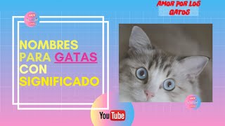 Nombres para gatas y su significado [upl. by Bez967]