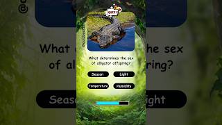 Wildlife Wonders Incredible Animal Adaptations  Animals quiz  quiz shorts animals [upl. by Cristobal]