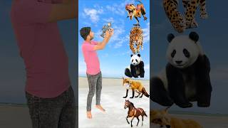 Wilds Animals To Cow Dog buffalos lion goat Name Talking shorts mmmrazz funny comedy [upl. by Symer]