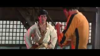 Part 2 Bruce Lee  Original Scene from Game Of Death [upl. by Reinar736]