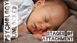 How Babies Form Attachments  Four Stages  Schaffer amp Emerson [upl. by Rehoptsirhc440]