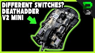 This Has Different Switches  Razer Deathadder V2 Mini Teardown [upl. by Ahsehyt628]