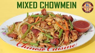 MIXED CHOWMEIN Recipe  Chinese Cuisine  Easy amp Quick Recipe [upl. by Atisor]