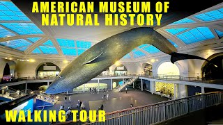 American Museum of Natural History walking tour  New York City  Full Walkthrough [upl. by Marpet]