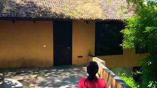 Premium Villa  Taj Madikeri Resort amp Spa Coorg [upl. by Laidlaw]