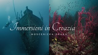 IMMERSIONI IN CROAZIA  MOSCENICKA DRAGA  Relitto vs Gorgonie [upl. by Einobe]