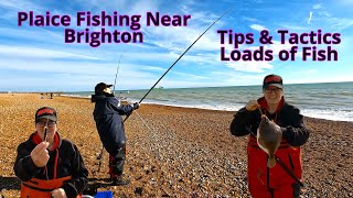 Plaice Fishing Near Brighton Tips Tactics and Loads of Fish [upl. by Amethist]