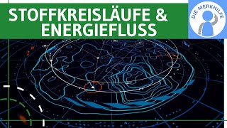 Stoffkreisläufe amp Energiefluss  Begriffe Prozesse biochemisch geochemisch biogeochemisch u a [upl. by Pyne]