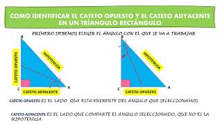 COMO IDENTIFICAR EL CATETO OPUESTO Y EL ADYACENTE [upl. by Cudlip180]