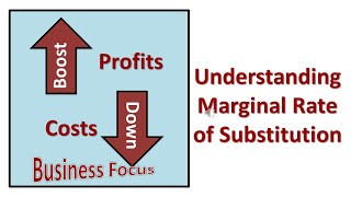 Understanding Marginal Rate of Substitution [upl. by Brit]