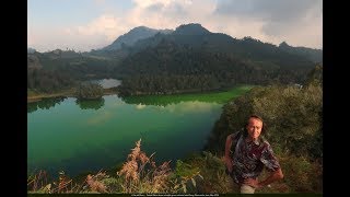 FIELD TRIP WITH PATRICK BLANC IN JAVA 2  PRAMBANAN TO SEMARANG [upl. by Ihana]