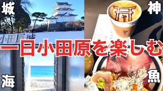 小田原ひとり旅 おすすめ グルメ 観光 モデルコース 【ミナカ小田原 小田原城 きんじろうカフェ 足湯 御幸の浜 】odawara 猿 [upl. by Joshuah]