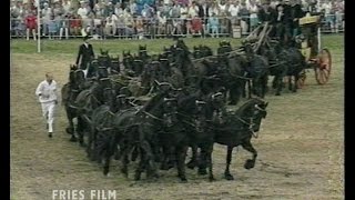 40 Friesian horses 1 stagecoach  40 Friese paarden 1 koets [upl. by Legnaleugim]