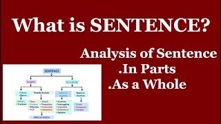 Sentence  Analysis of Sentence  Types of Sentence  Basic English Grammar  E Knowledge Hub [upl. by Hpsoj]