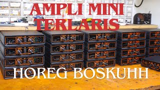 POWER AMPLIFIER CLASS D MINIMALIS VIRAL HOREG CLARITY DETAIL GLERR SANGATT [upl. by Anhavas]