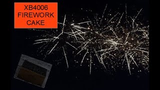 XB4006 firework cake in action firework mania [upl. by Isabella485]