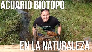 Nuestro primer Acuario BIOTOPO en la naturaleza Colombiana  De aventura con Aquamarket [upl. by Straub]