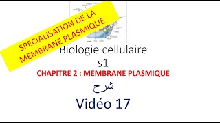 biologie cellulaire s1 vidéo 017  la membrane plasmique شرح [upl. by Hiroshi]