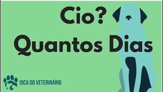 Qual Intervalo entre o Cio da Cadela A Cada Quanto Tempo Entra em Cio ou se Repete [upl. by Enoval]