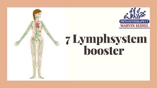 7 Tipps um euer Lymphsystem zu aktivieren [upl. by Riay]