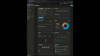 qBittorrent with VPN on TrueNAS Scale [upl. by Eirhtug]