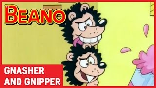 Gnasher and Gnipper  Best Bits  Beano All Stars [upl. by Htebaile]