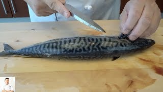 Shime Saba  Traditional Japanese Recipe for Sushi [upl. by Purvis193]